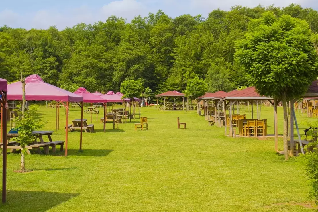 Özel Piknik Mekanları - Doğa ile İç İçe Güvenli ve Konforlu Alanlar